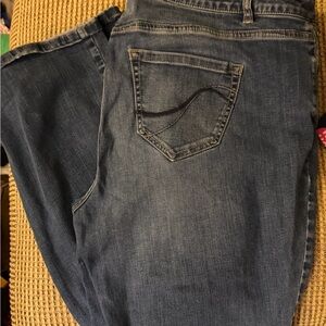 Lane Bryant Light Blue Bootcut Jeans